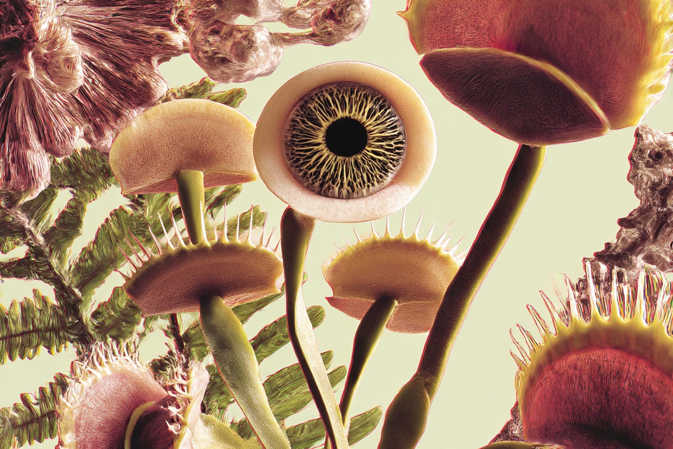 im1979_The_Experiment_That_Proved_Plants_Respond_Better_to_De_956239ba-6506-4329-b5a2-f396ff6361be_1